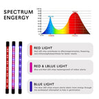 LumiPlant LED Plant Light | USB Grow Light | 1–4 Heads | Dimmable with Timer