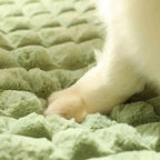 PAWSOMNIA Orthopedic Dog Bed | Removable Cover & Washable | Memory Foam | For Dogs & Cats
