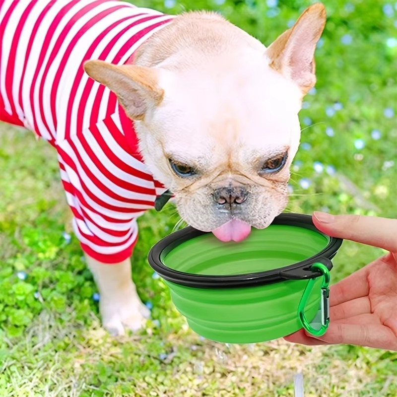 Collapsible Silicone Pet Bowl for Travel