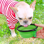 Collapsible Silicone Pet Bowl for Travel