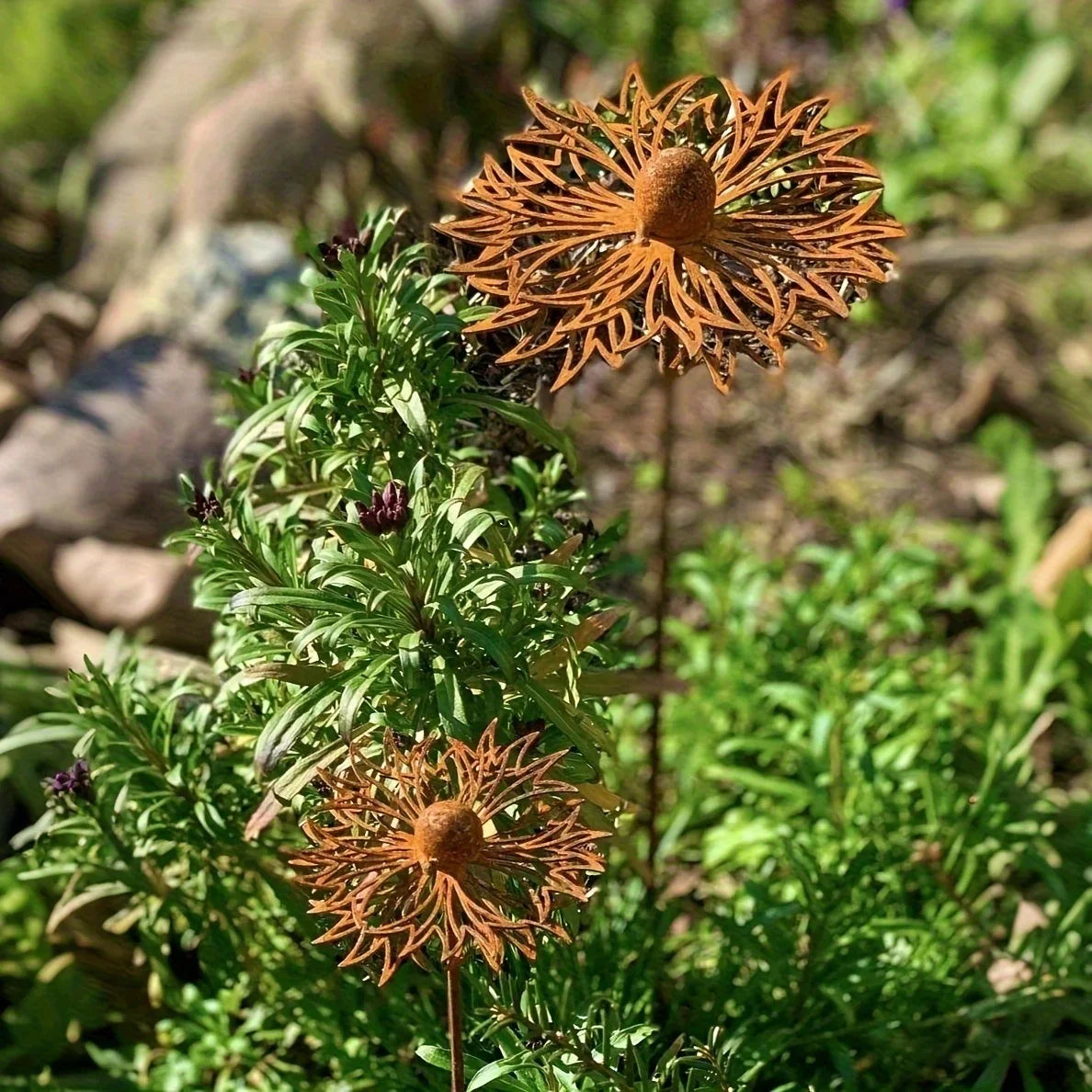 FLORUSTA Garden Stake Bluebonnet | Rust Look Metal | Rustic Garden Decor