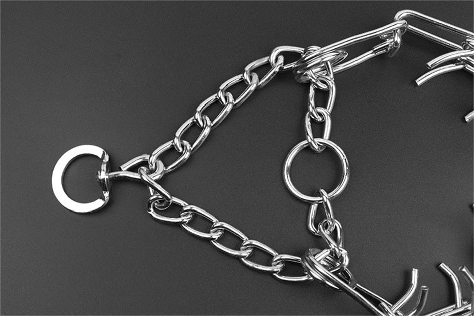 Dog Pincher Collar - Stylish B
