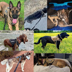 KrachtGrip Dog Harness – Adjustable Tactical Harness for Training & Walks