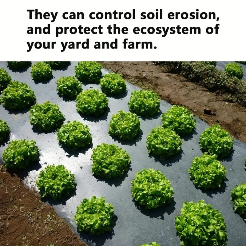 AgroShield Weed Fabric | Black Mulch Film | Plant Protection & Yield Increase | Ideal for Greenhouses