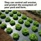 AgroShield Weed Fabric | Black Mulch Film | Plant Protection & Yield Increase | Ideal for Greenhouses