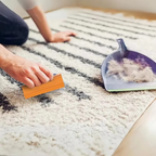 Easy Grip Pet Hair Removal Tool for Home Carpets and Upholstery