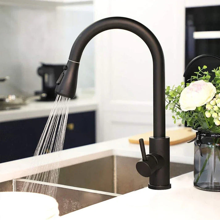 Modern Single-Handle Faucet with Pull-Out Spray