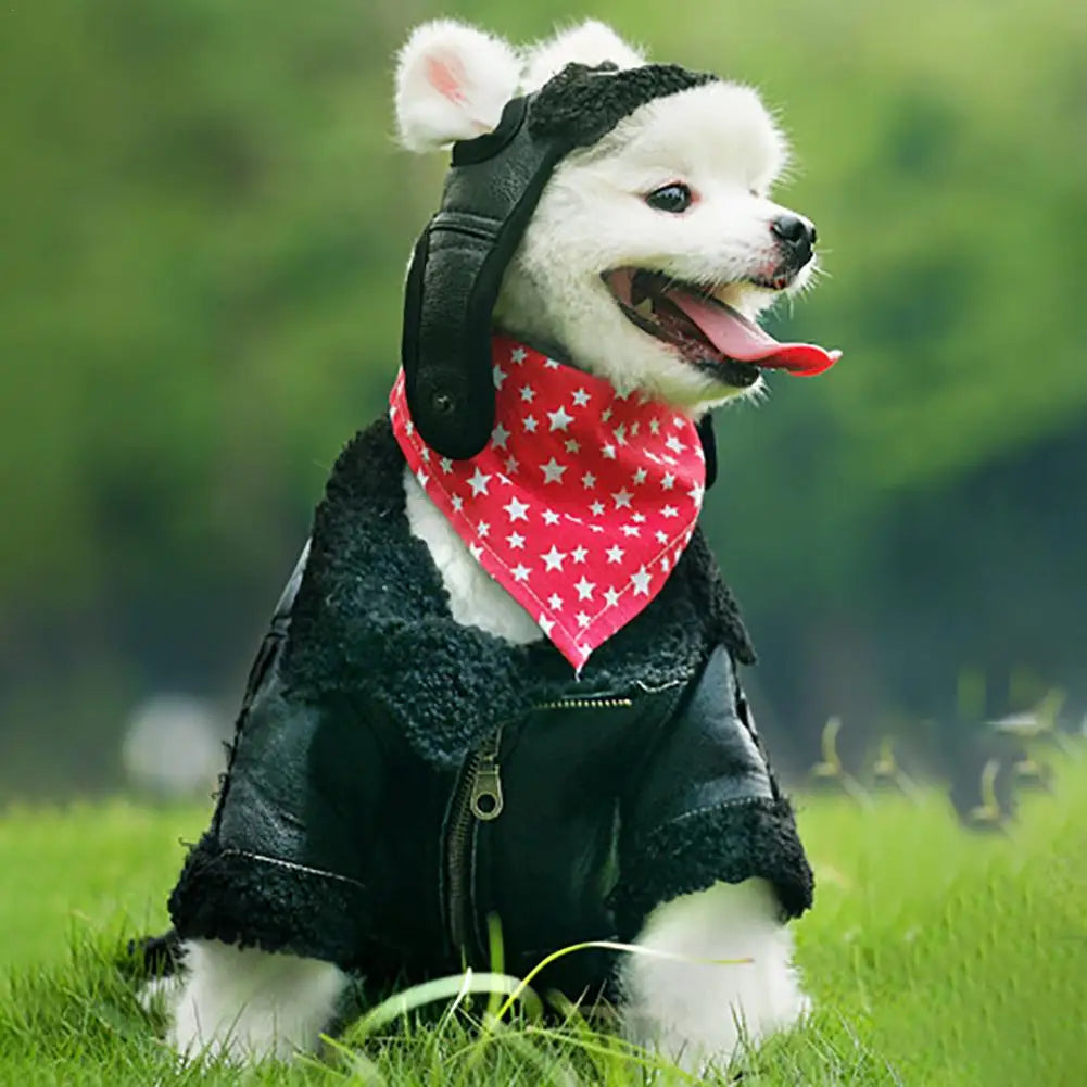 Winter pilot cap for pets warm and comfortable