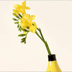 Banana Vase