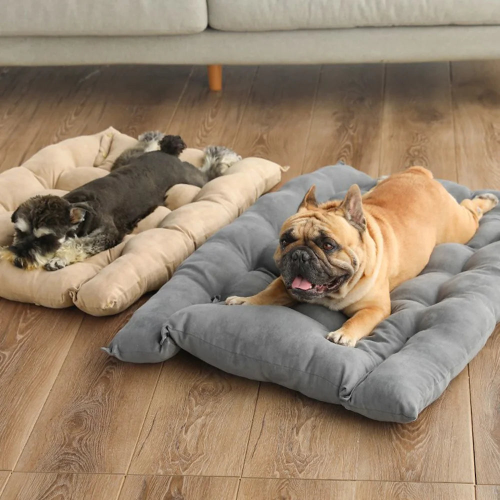 Cozy 3-in-1 bed for pets