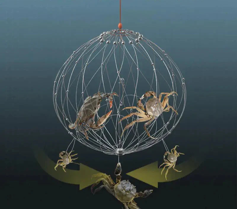 AutoTrap Fishing Net Cage