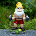 Funny Gnome Figurine made of Resin as Weightlifter for Garden Decoration