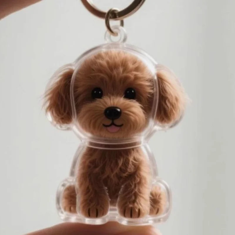 Transparent fur memory tag