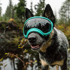 Dog sunglasses with UV protection windproof adjustable