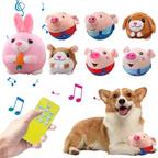 Interactive Music & Vibration Dog Play Ball