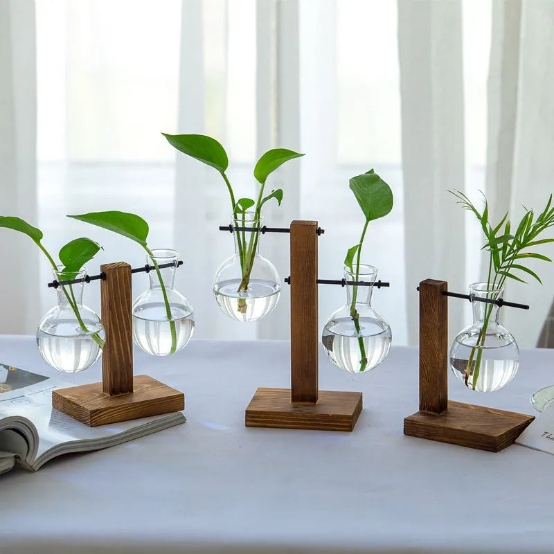 Vasoya Glass Vases | 3-Piece Set with Wooden Frame | Scandinavian & Versatile | For Flowers & Hydroponics