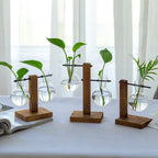 Naturiva Design Glass Vase with Wooden Frame | For Cut Flowers & Hydroponics | Scandinavian Style | 3-Piece Set