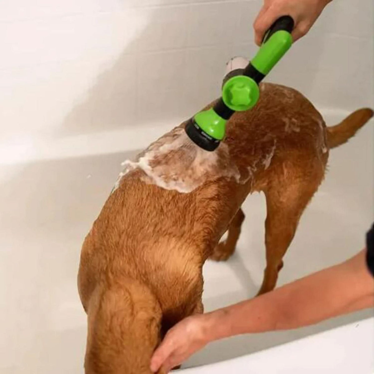 Pet Bath Spray with All-Around Spray Function