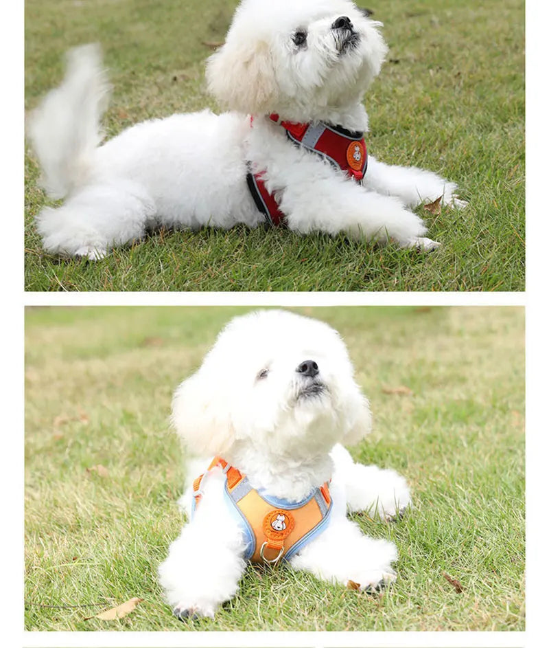 Breathable dog harness adjustable & comfortable