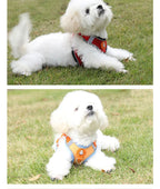 Breathable dog harness adjustable & comfortable