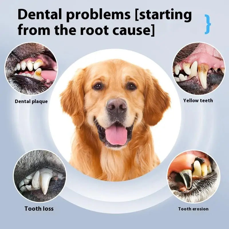 DentoraSonic | Ultrasound dental care device for dogs & cats | 5-level tartar remover | USB charging