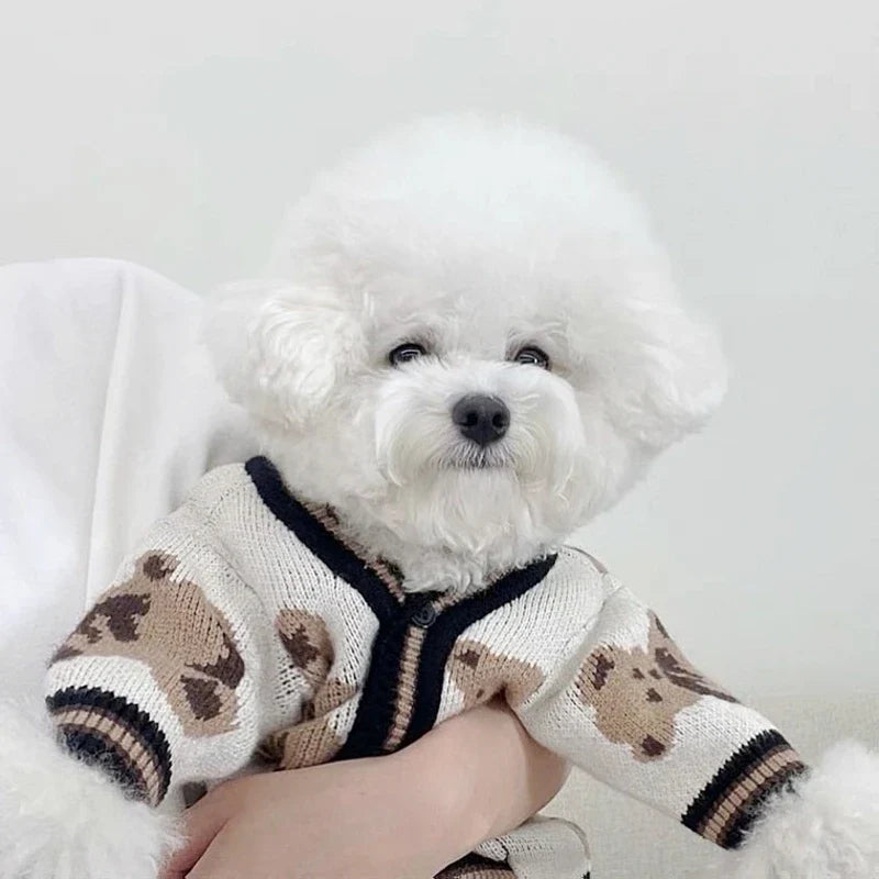 Dog cardigan made of knit warm and striped