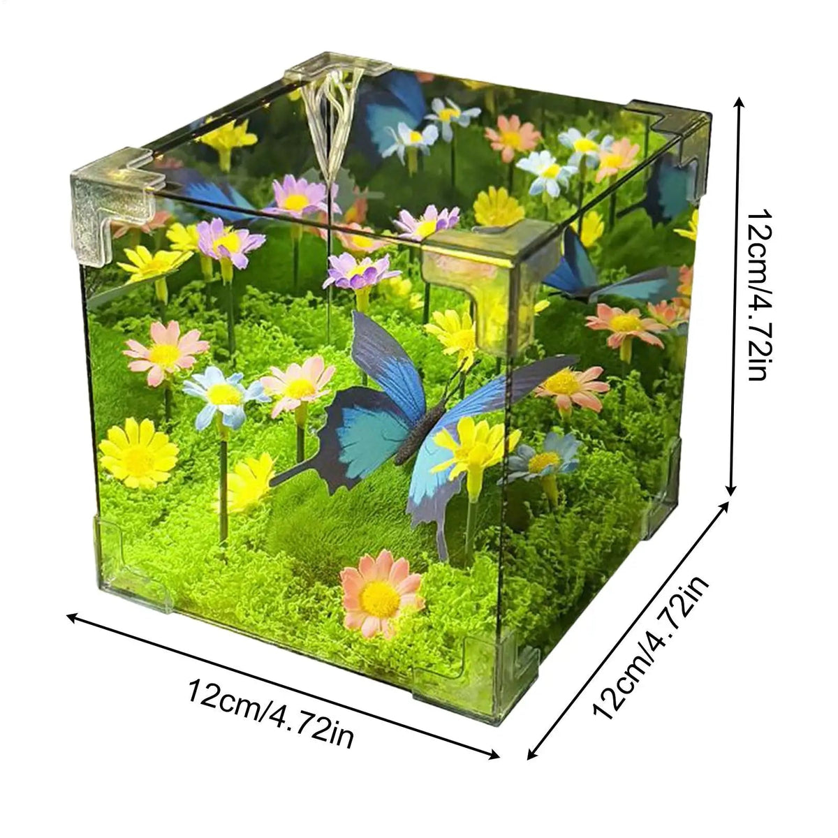 LED Butterfly Garden Cube Night Light Decor