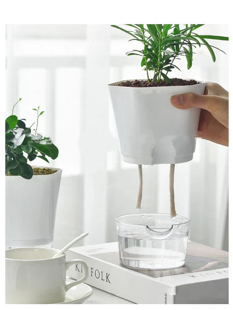Plantilo Self-watering Flower Pot | Transparent | Automatic Water Supply | For Houseplants