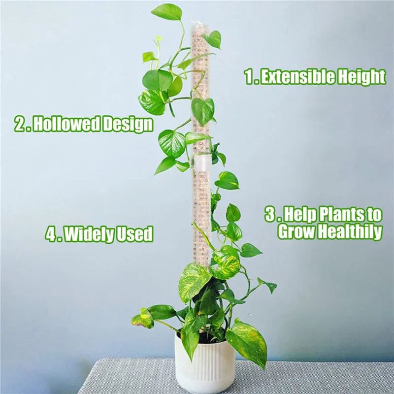 Pillar for climbing plants and green plants – Support columns for vertical plant cultivation