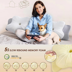 Ergonomic Cervical Memory Foam Pillow with Butterfly Shape for Neck Support