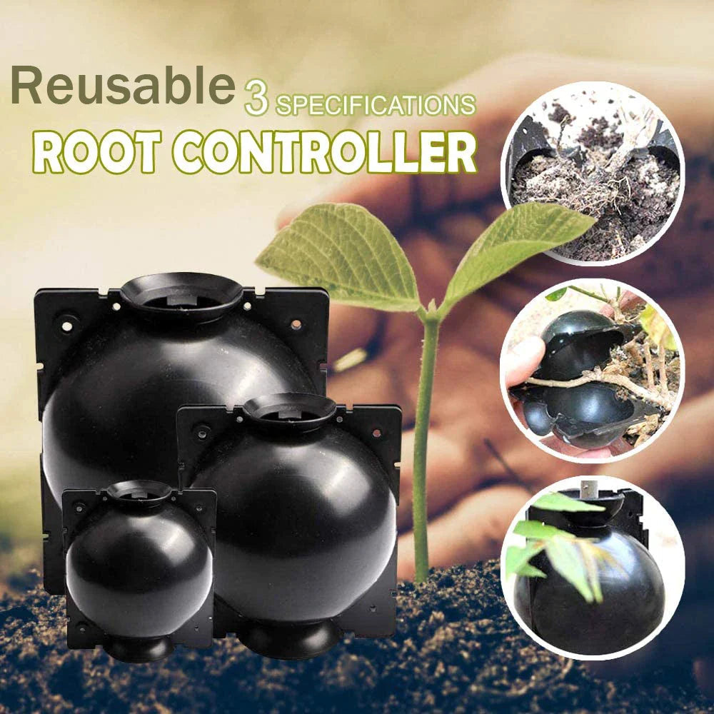 Plant protection balls for roots – Protective caps for safe replanting and growth