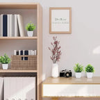 Everleaf Bonsai | Eucalyptus Design | Low Maintenance & Durable | Decorative