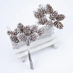 DennenPracht | Luxury Decorative Branches for the Holidays