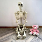 Movable human skeleton 90–165 cm — realistic decoration for Halloween and horror parties