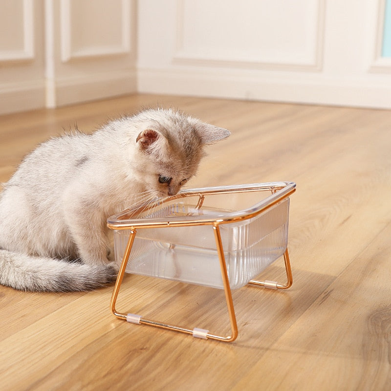 Trendy Feeder for Stylish Animals