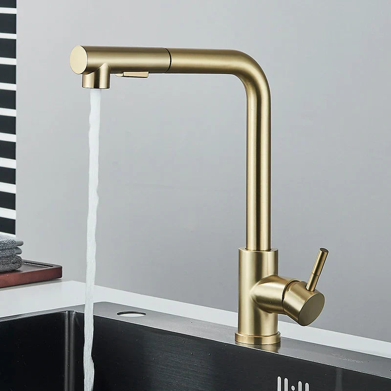 FlexiJet Black extendable kitchen faucet