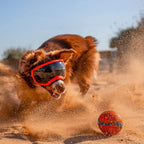 Dog sunglasses with UV protection windproof adjustable