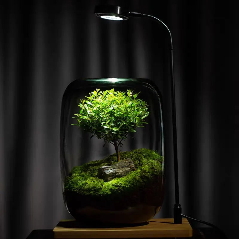 Micro Landscape Glass Vase | Clear Terrarium Planter for Succulents & Home Decor