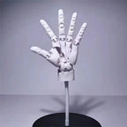 Multi-Pose Drawing Sculpting Art Hand Model