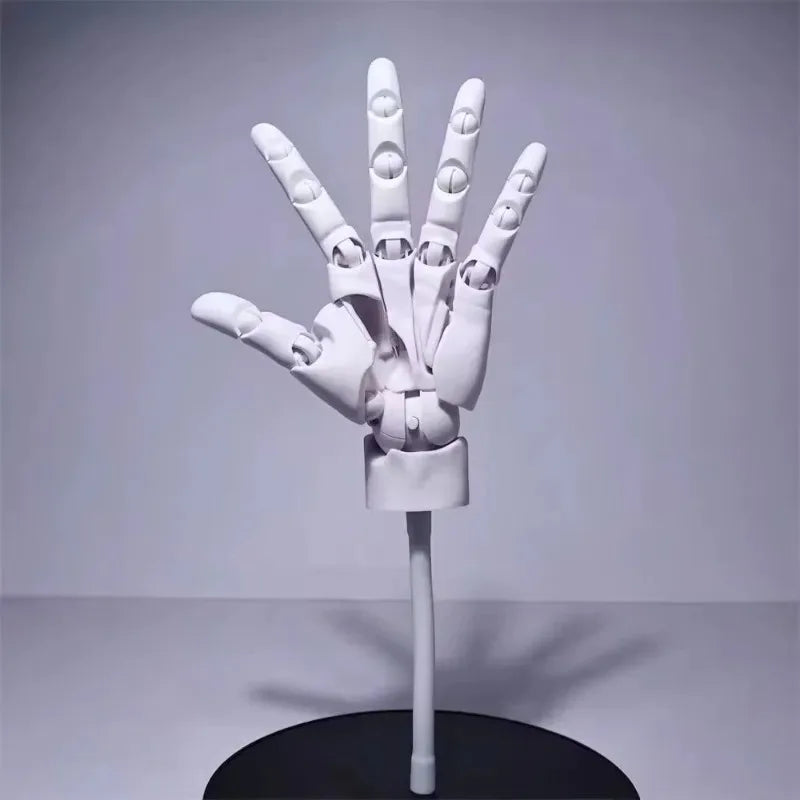Multi-Pose Drawing Sculpting Art Hand Model