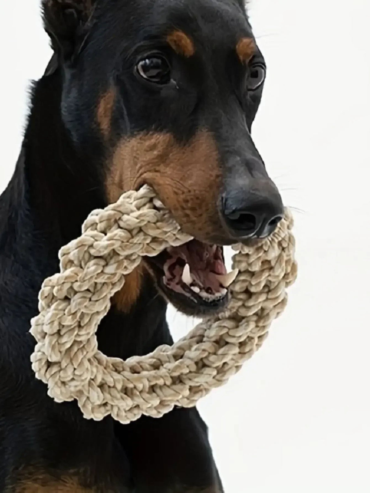 Robust cotton chew ring for dogs