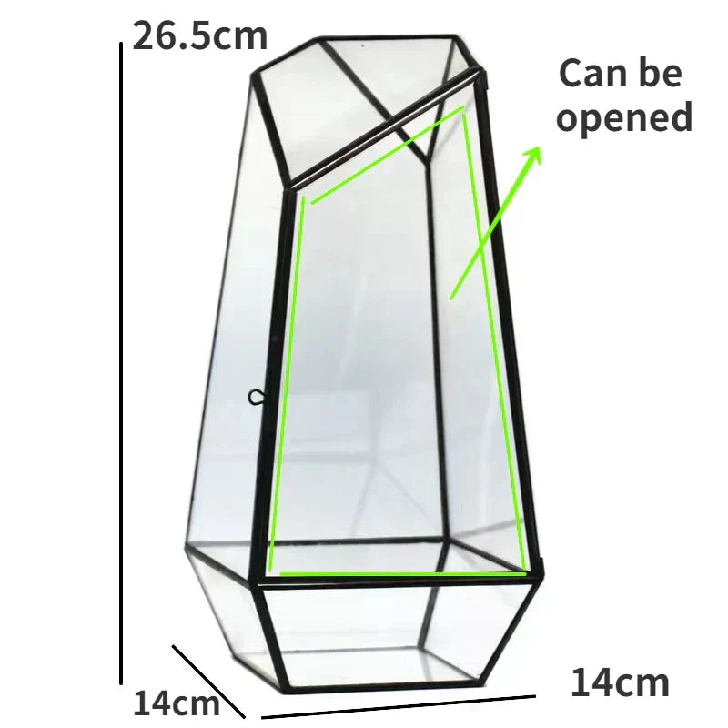 Modern Geometric Nature-Inspired Botanical Terrarium