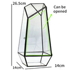Modern Geometric Nature-Inspired Botanical Terrarium