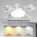 Sky Light LED Ceiling Fan Lamp