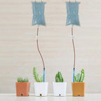 Water Bag Automatic Irrigation Device – Drip Irrigation for Easy Plant Care