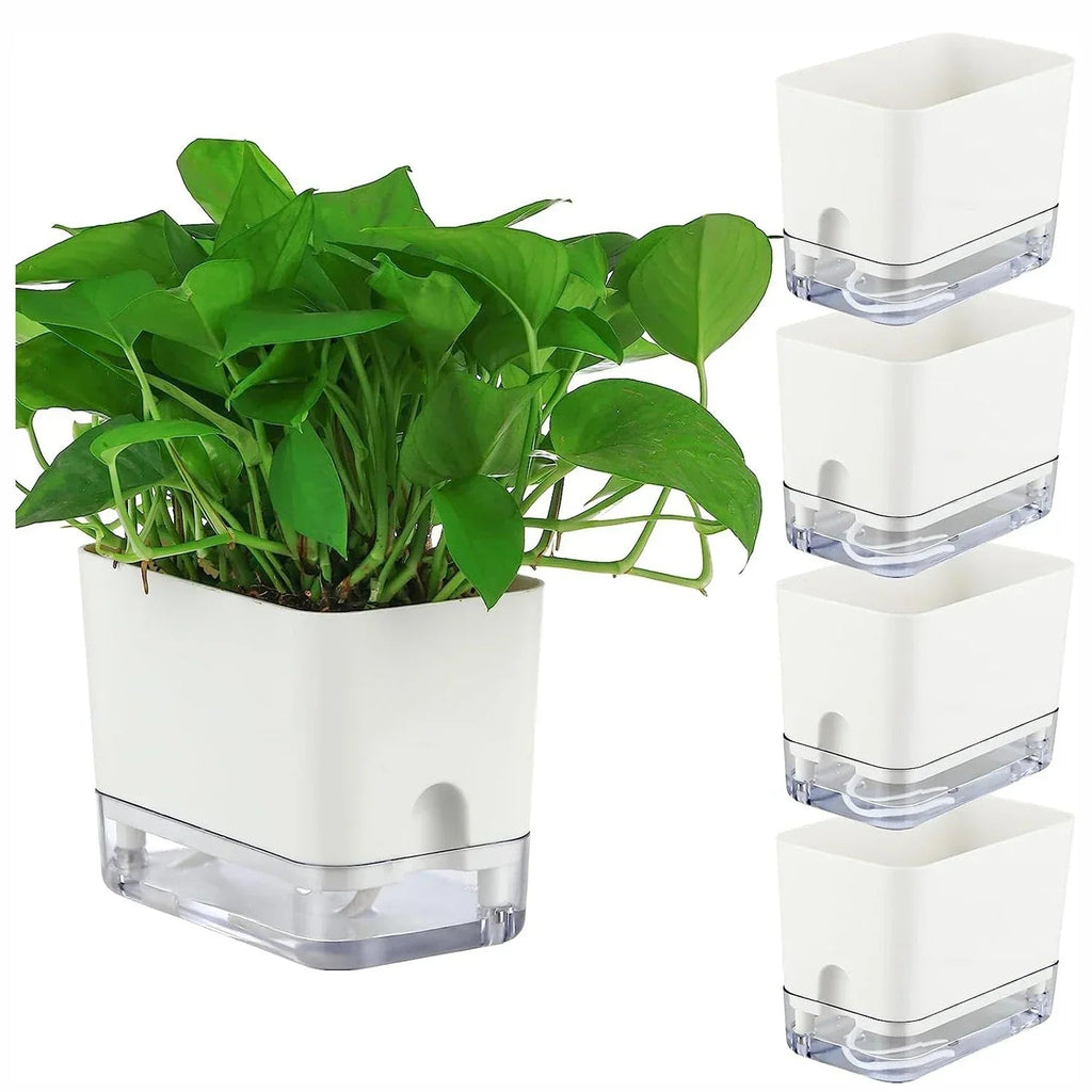 HydroLino Flower Pot | Self-Watering | Compact & Transparent | For Indoor Use