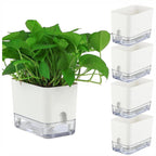 Plant Pot BloomEase | Self-Watering & Space-Saving | With Water Level Indicator | For Indoor Plants & Herbs