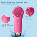 3-in-1 Facial Brush for Radiant, Healthy Skin