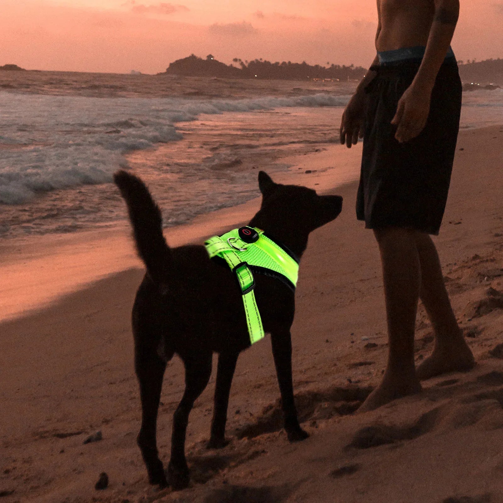 LED Dog Harness USB rechargeable & adjustable