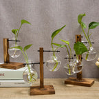 Vasoya Glass Vases | 3-Piece Set with Wooden Frame | Scandinavian & Versatile | For Flowers & Hydroponics